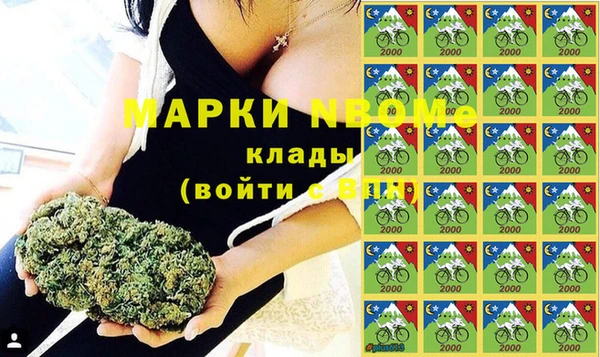 спайс Покачи
