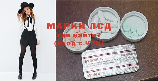 спайс Покачи